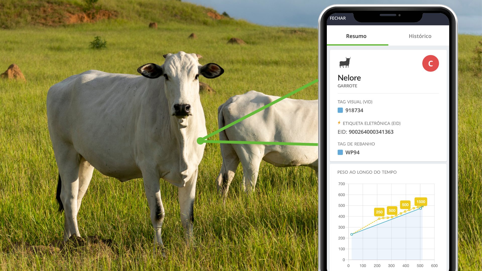 BR AgriWebb Homepage Feature - Animal Management BR AgriWebb Homepage Feature - Animal Management
